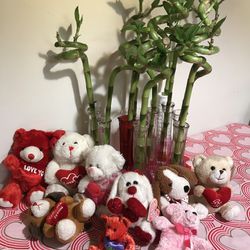 Bamboo With Base En Teddy Bears