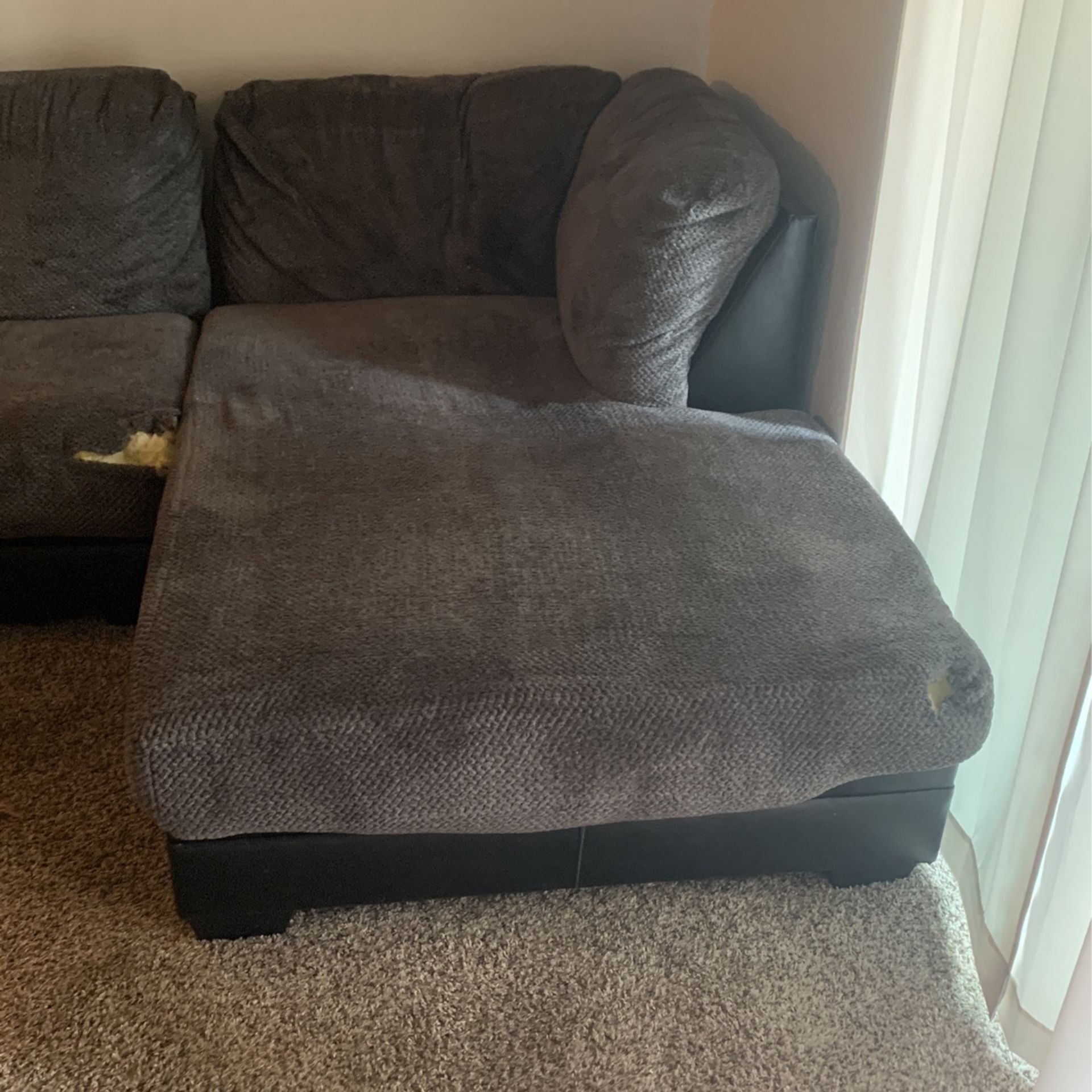 Couches