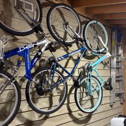 3 Adult Bikes-Moving Sale