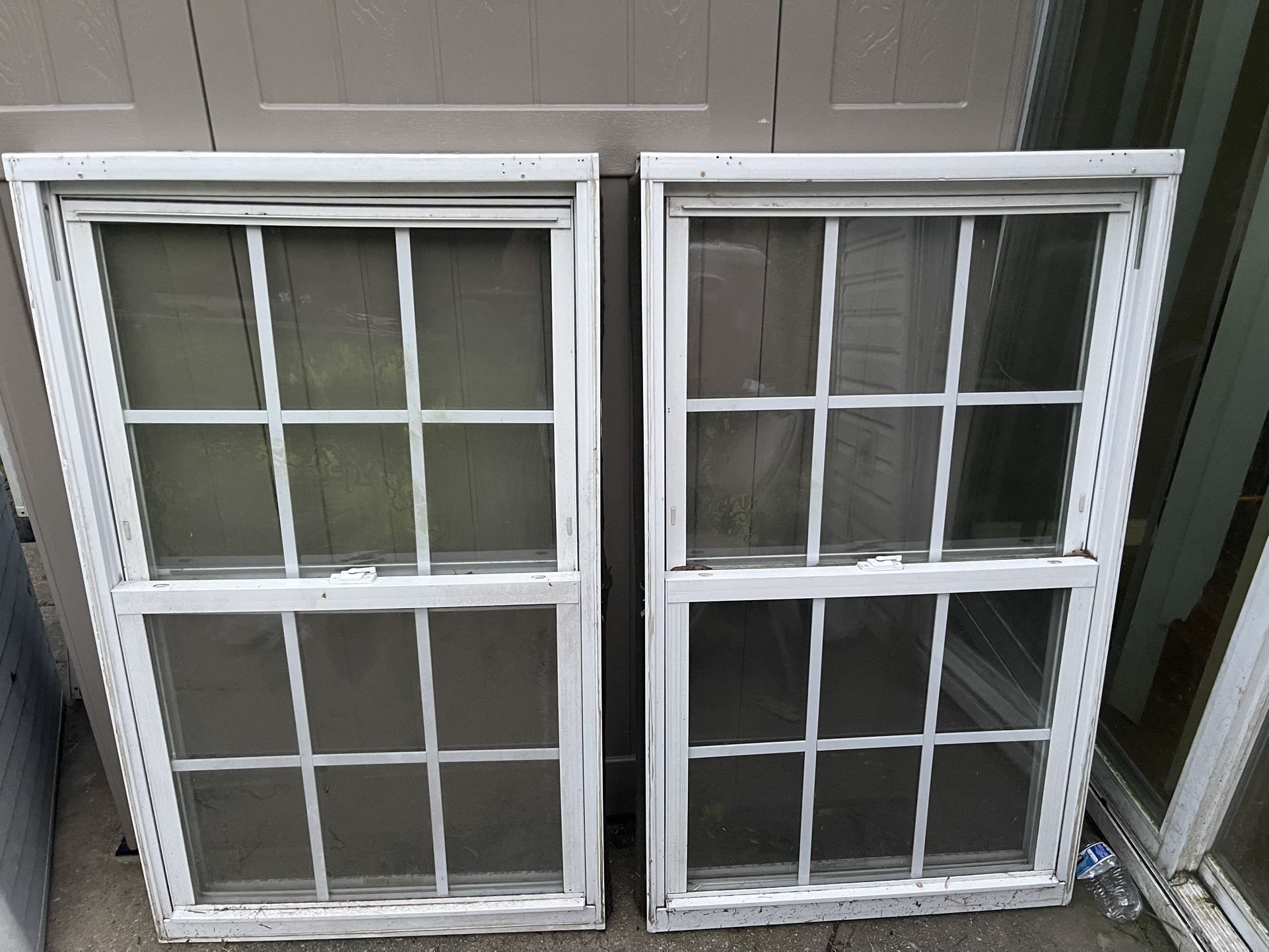 windows need them gone asap