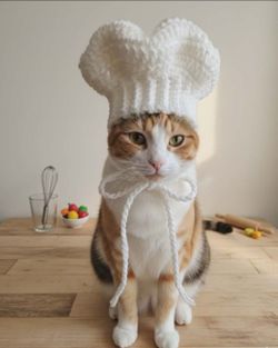 Pet Crochet Chef Hat