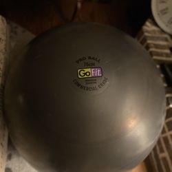 ($10) PROBALL 75cm Go Fit Commercial  Grade!