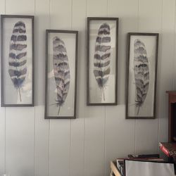 Framed Feather Art