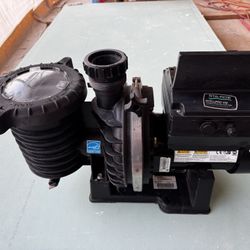 Pentair Pool Pump 3.0 HP 