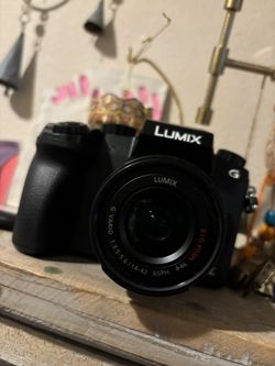 Panasonic LUMIX G Vario Camera 