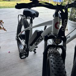 Qlife Racer 26 Inch Fat Tire Goes 28 Mph E Bike