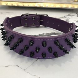Purple Dog Collar With Black Spikes 