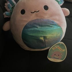 Monica Squishmellow 8