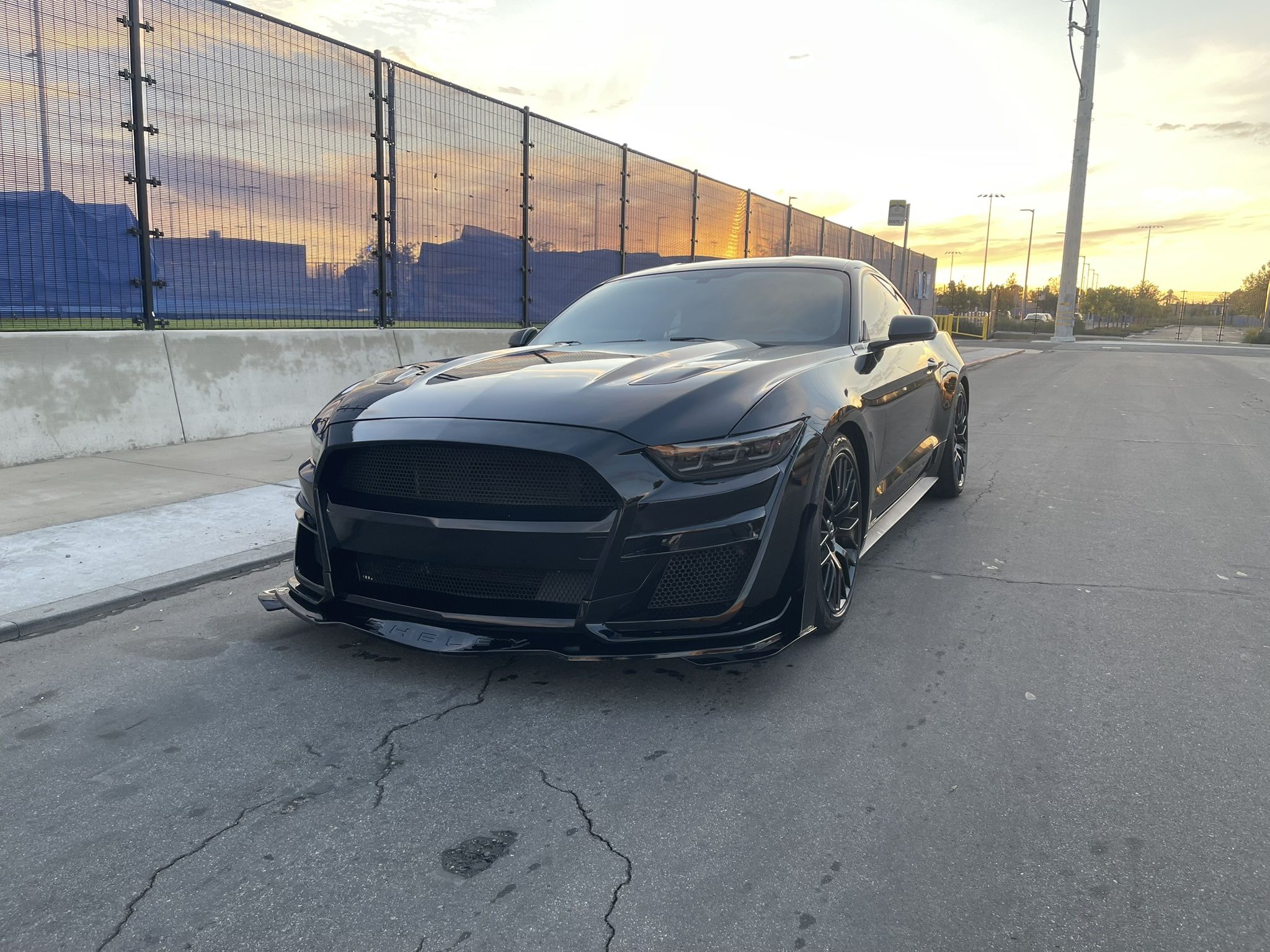 Mustang Gt 5.0