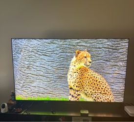 Sony 65" BRAVIA 9 Mini LED QLED 4K UHD Smart Google TV (2024)