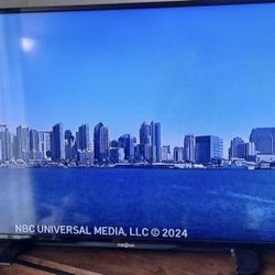 Insignia 43" TV – Non-Smart (Used)
