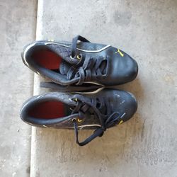 Puma Size 2
