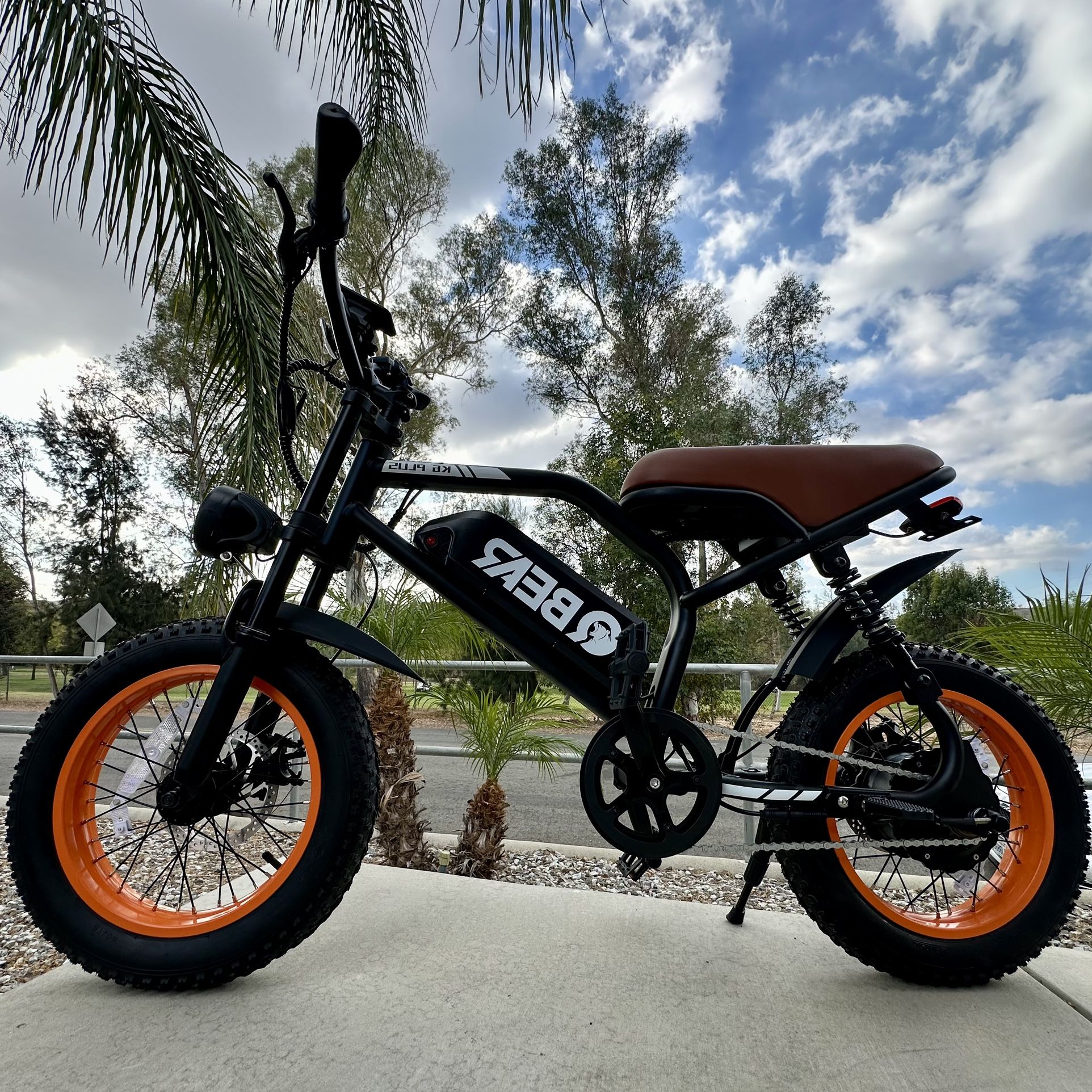 Electric Bike