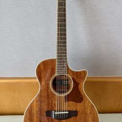 Ibanez AE2412-NT 12-String Acoustic Guitar