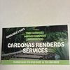 Cardonas 