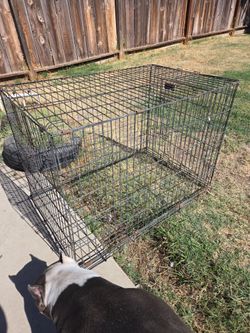 Large Wire Dog Crate