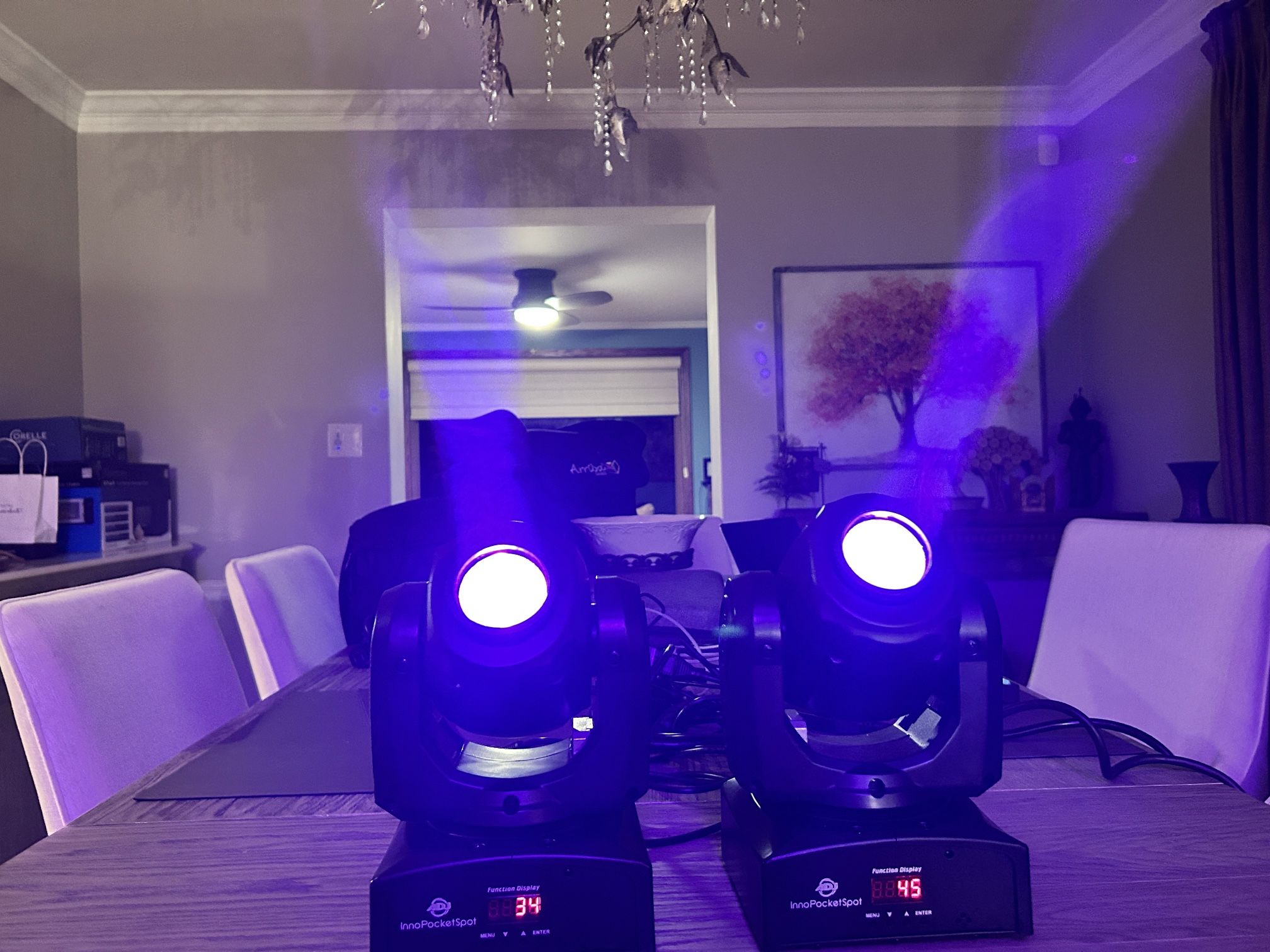 ADJ Inno Pocket Spots (2 Units) Moving Heads