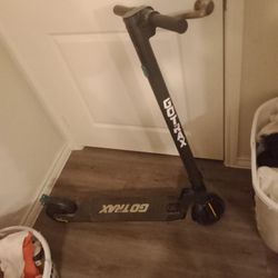 Electric Adult Scooter