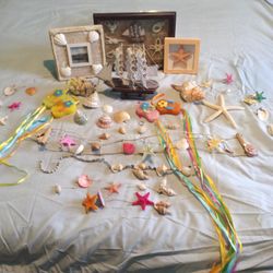 Sea Shell Decorations