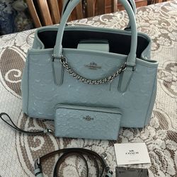 New York Coach Handbag And Clutch