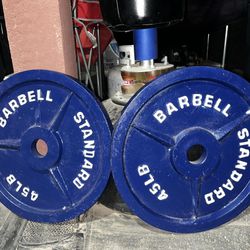 (2”Olympic) 2inch Pair 45lbs Standard Barbell Metal Weight Plates