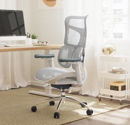 SIHOO Doro S100 Ergonomic Office Chair - with Dual Dynamic Lumbar Support, 5-Level Adjustable Backrest, 4D Coordinated Armrests, 135-degree Max. Recli