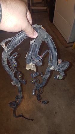 Ford Mustang Injector harness