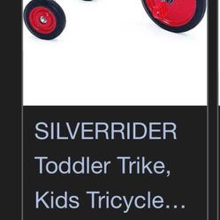 toddler Tricycle