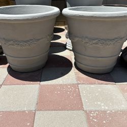 New Flower Pots Made Out Of Cement 
