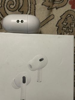 Seldom used Apple Ear Bud Charger Case