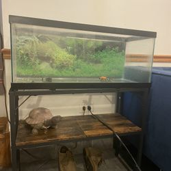 30 Gallon Long Aquarium (no lid)