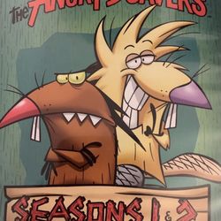 Nickelodeon’s The ANGRY BEAVERS The Complete 1st + 2nd Seasons (DVD-1997/1998)