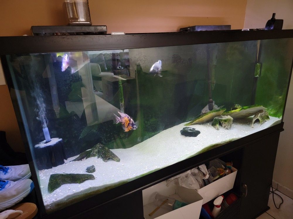 120 Gallon Tall Fishtank/Aquarium