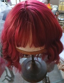 Wig Human Hair Brand New Never Used $60