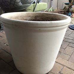 2 Planters: Perfect Spring Pots