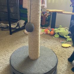 Cat Scratching Post