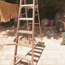 Davison Step Ladder Tool 6f