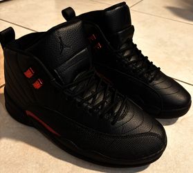 Air Jordan 12s, bloodline, size 10