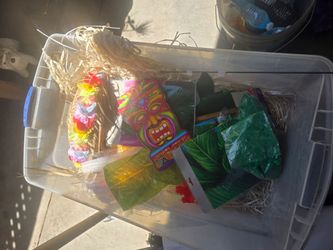 Over $200 worth of luau decorations