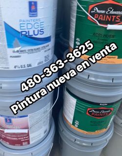 Pintura Paint