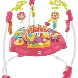 Fisher-Price Baby Bouncer Pink Petals Jumperoo (Used) 