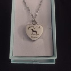 Beloved Pet Keepsake Ash Necklace
