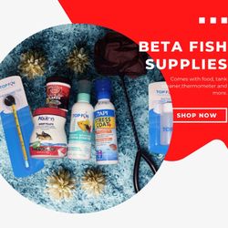 Beta Food And Cleaner 