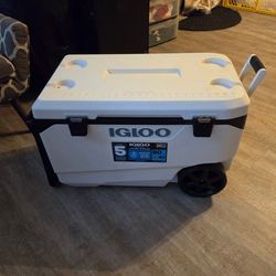 Igloo Cooler
