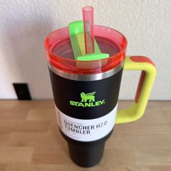 Deadstock Stanley Tumbler (neon Black)