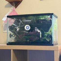 5 Gallon Set Up