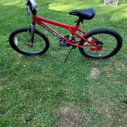 Dynacraft Wipeout 20" Bike (Walmart sells it $108) asking $50 Good Condition 