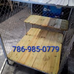 Dog Kennels Florida 🐕