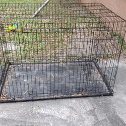 Dog Cage
