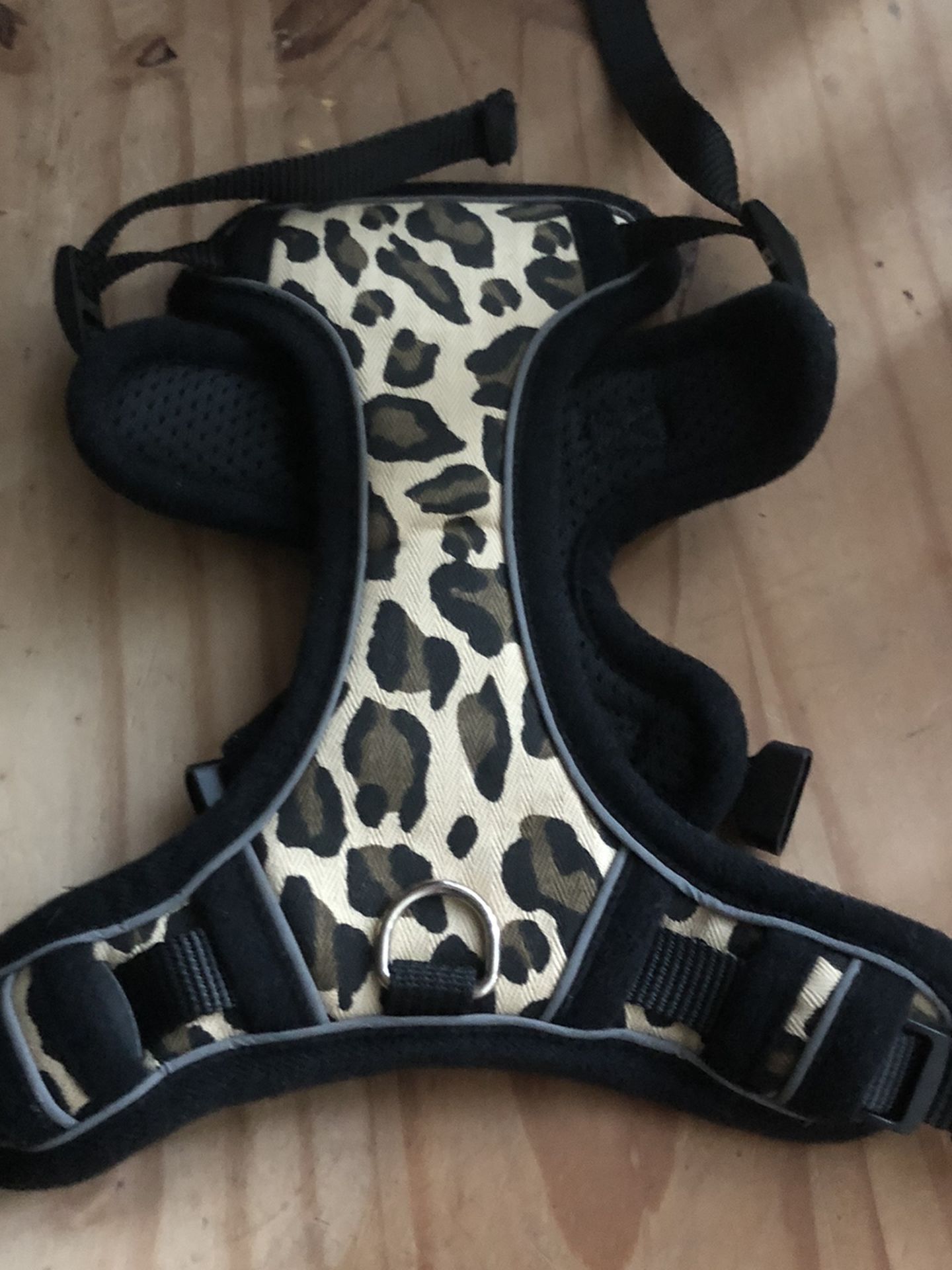 Cat Harness And Leash Set